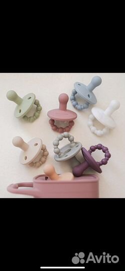 Соска-грызунок