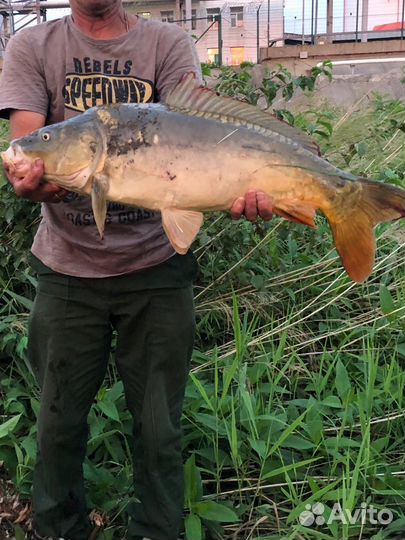 Аренда прикормочного кораблика для рыбалки
