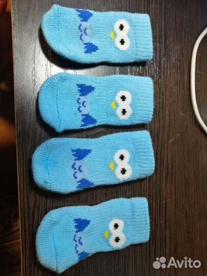 Носки для собак