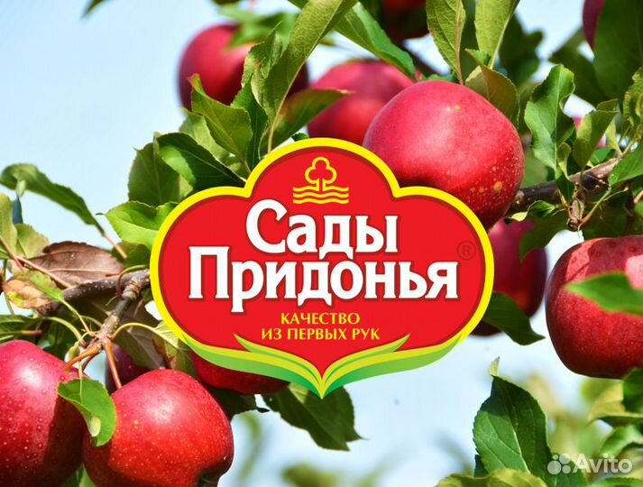 Кладовщик-контролер