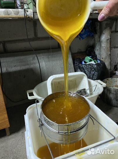 Мёд 2023 г., натуральный