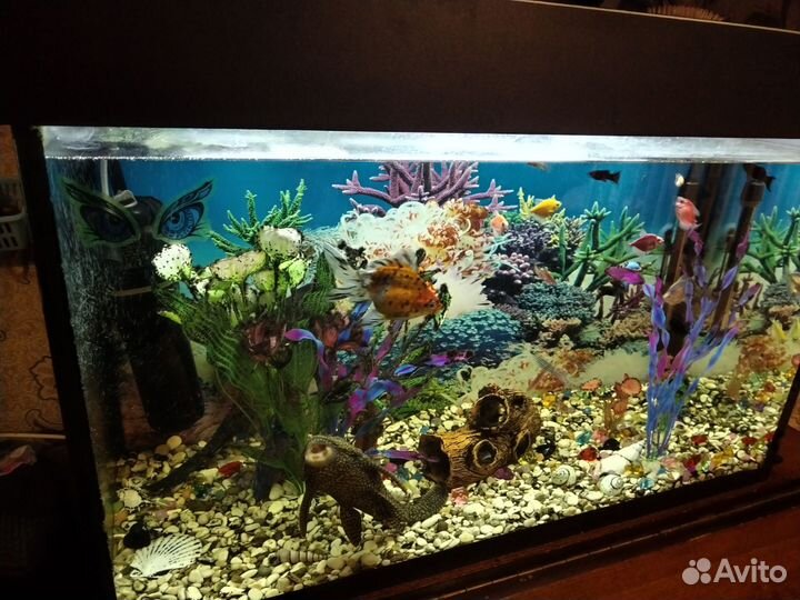 Украшение для аквариума