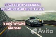 Водитель в парк на своём автомобиле