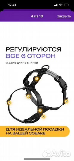 Шлейка для маленькой собаки