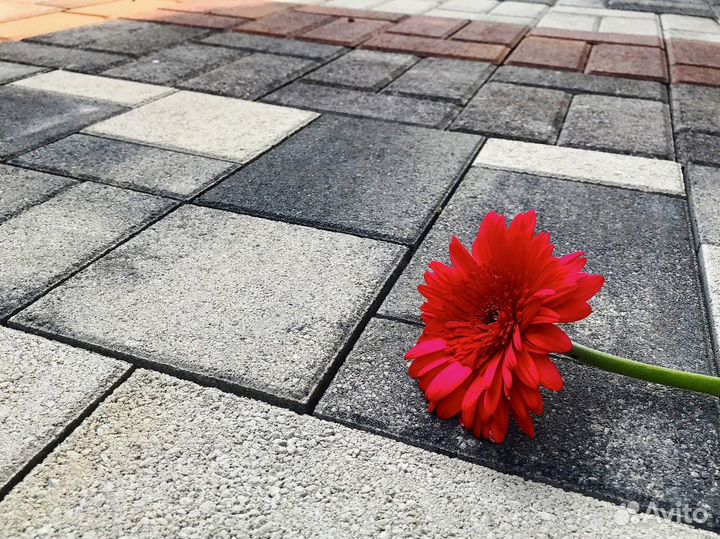 Тротуарная плитка # Визуализация бесплатно