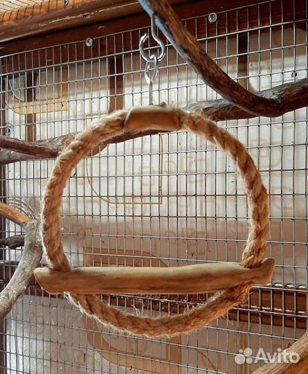 Переноска для попугаев