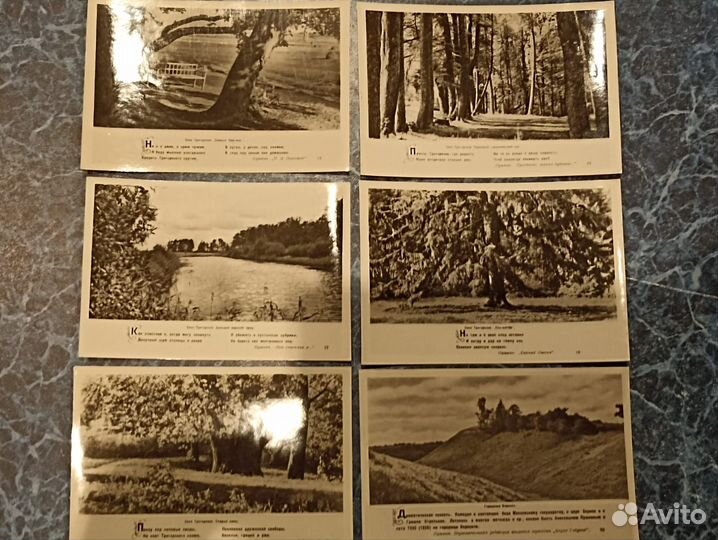 Набор фото открыток 