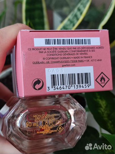 Mon guerlain bloom of rose