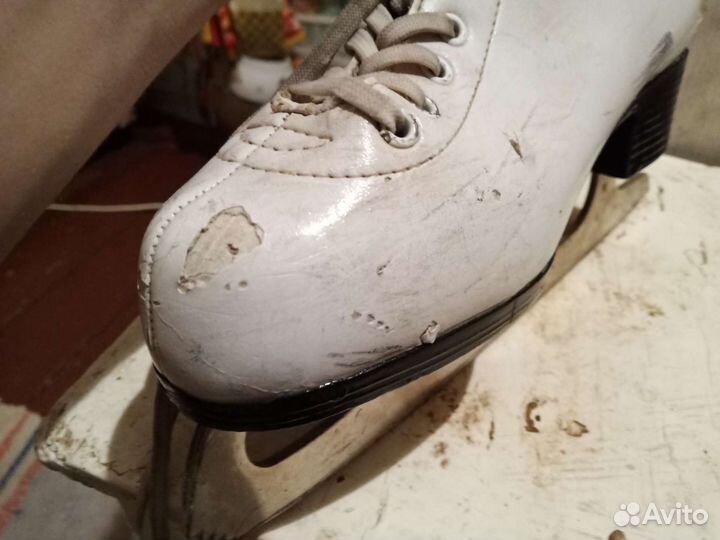 Детские коньки Montana