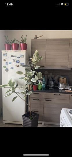 Комната 20,2 м² в 2-к., 14/16 эт.