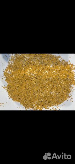 Семена горчицы