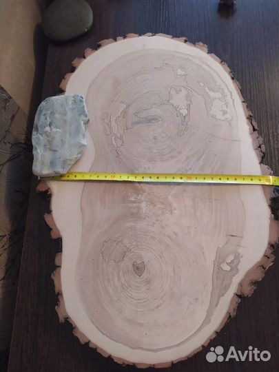 Спилы дерева