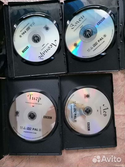Видео DVD о животных