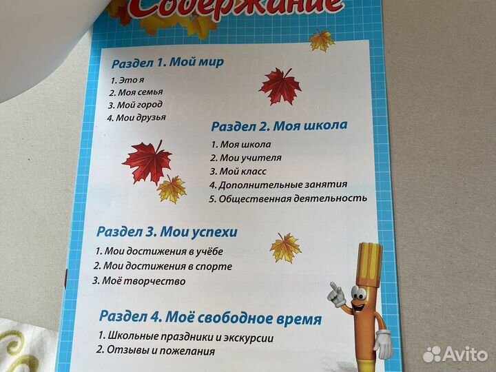 Портфолио школьника новое