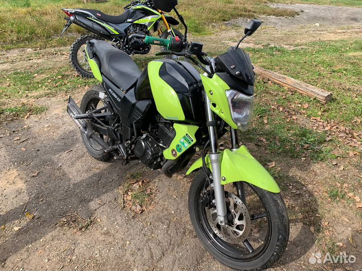 Racer nitro rc250-ck