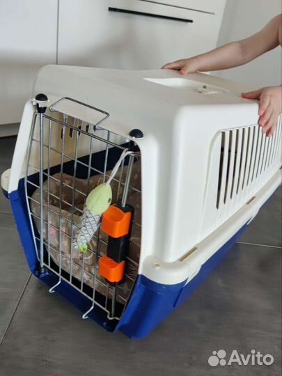 Переноска для животных