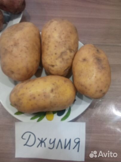 Семенной картофель Уника, Сынок, Лапоть почтой