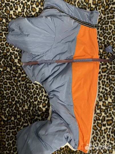 Костюм для крупной собаки