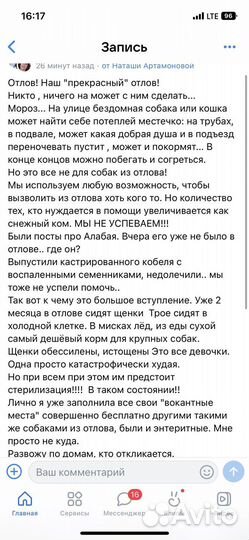 Щенки в добрые руки