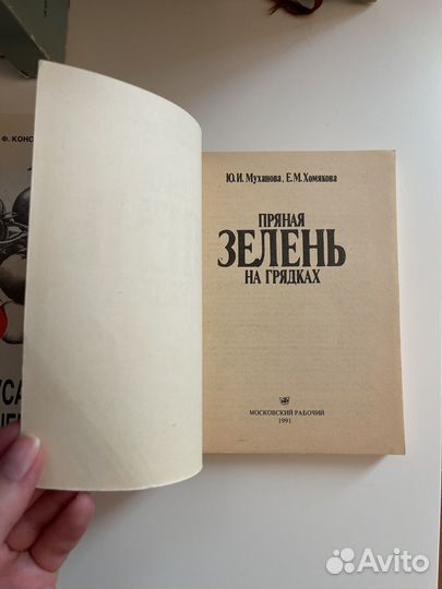 Пряная зелень на грядках Приусадебное овощеводство