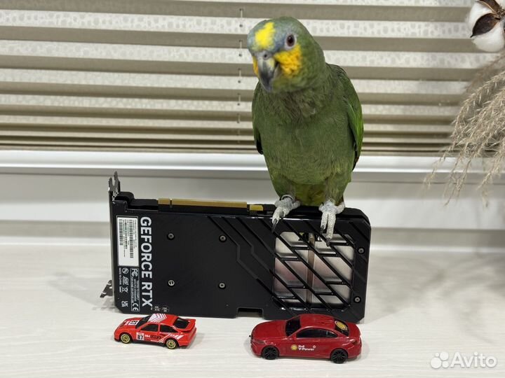 RTX 4060 Palit Infinity 2 (samsung) / обмен, выкуп