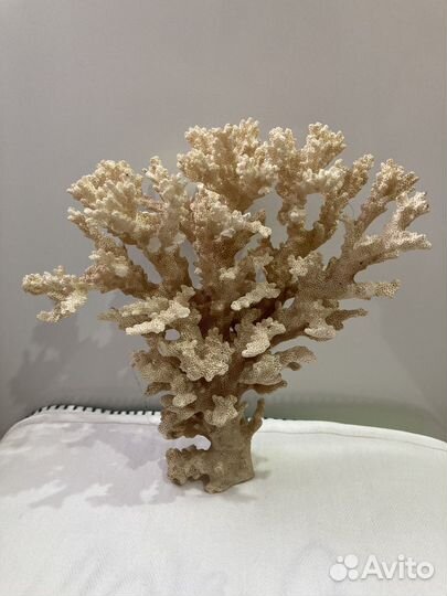 Декорации для аквариума для Александра