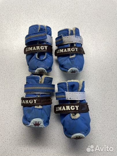 Обувь для мелких пород собачек