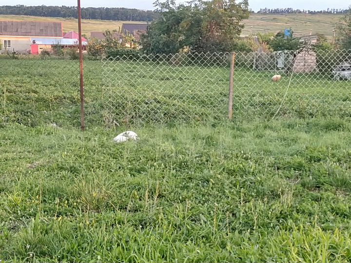 Участок 20 сот. (ИЖС)