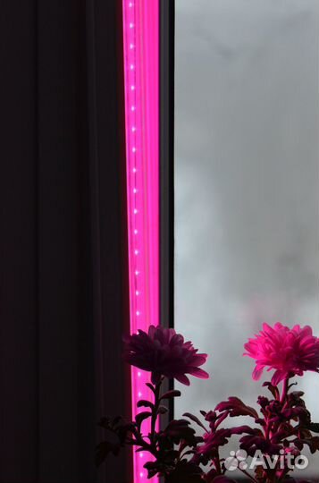 Фитосветильник линейный для растений (розовый)