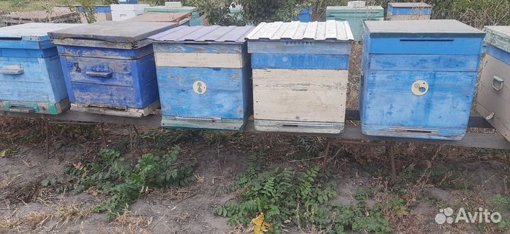 Ульи для пчел бу