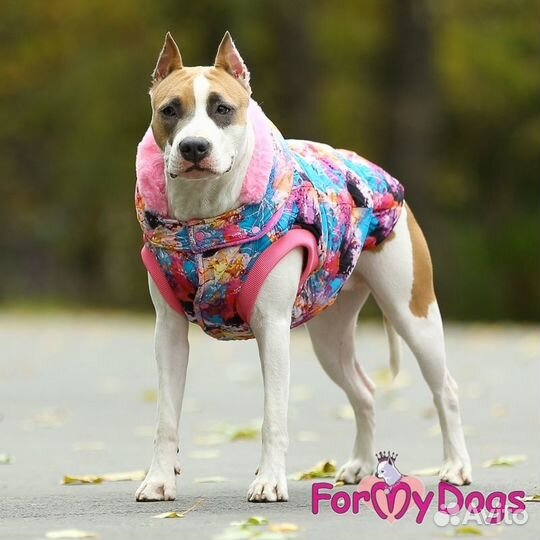 Комбинезоны, курточки, дождевики, для собак