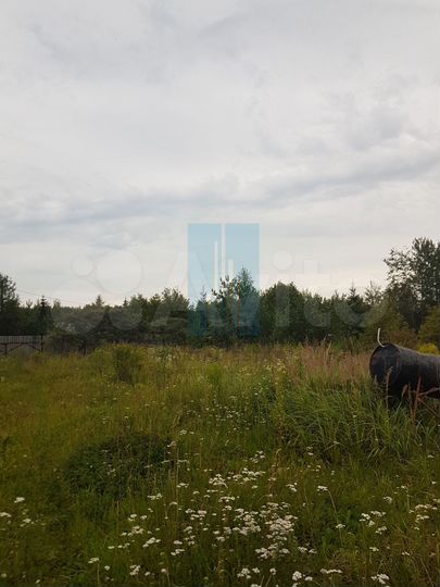 Участок 10 сот. (ИЖС)