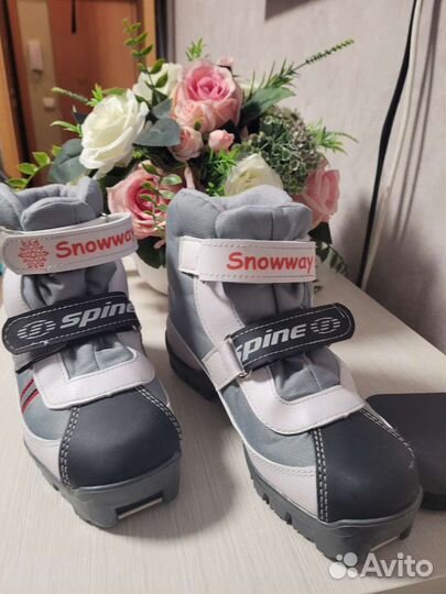Лыжные ботинки