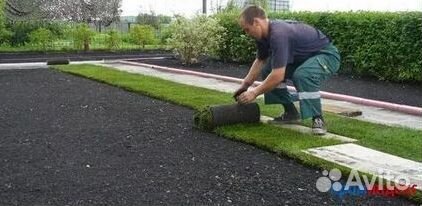 Укладка Рулонного газона