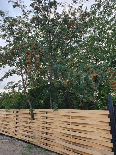 Дом 56 м² на участке 7,3 сот.