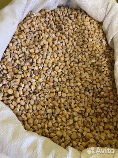 Пшеница, ячмень, овес, комбикорм, кукуруза