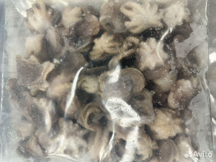 Осьминожки