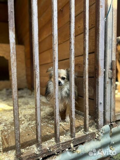 Малыша сдали в приют