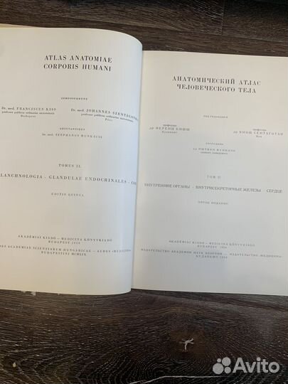 Анатомия Атлас Кишш- Сентаготаи
