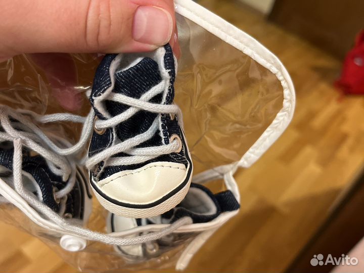 Кеды на маленькую собаку, размер s