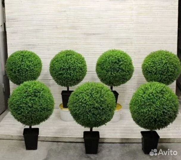 Топиарная фигура 