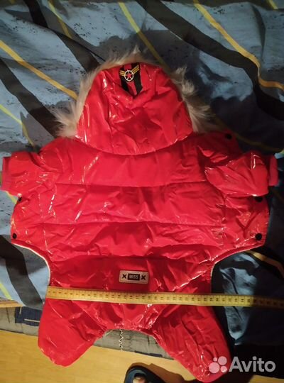 Зимний комбинезон для собак мелких пород