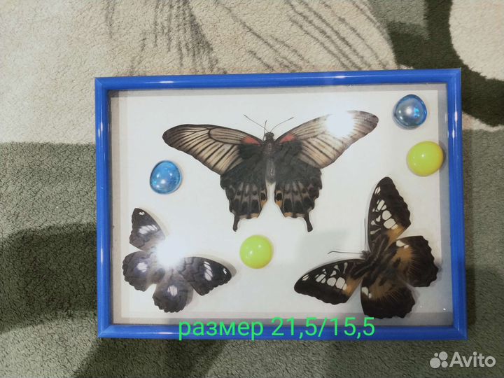 Панно бабочки