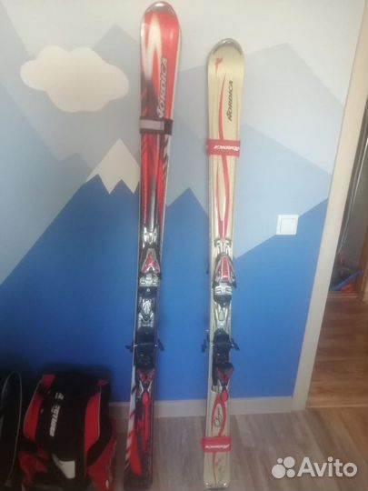 Горные лыжи