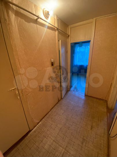 1-к. квартира, 33,2 м², 1/5 эт.