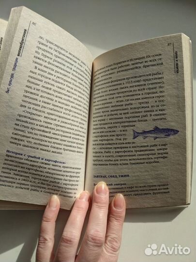 Великобритания: быт, традиции, культура