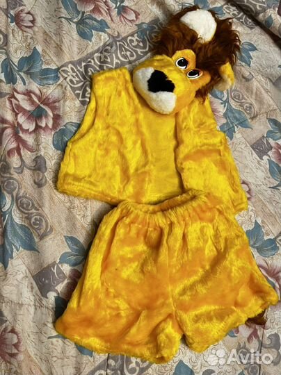 Костюм на утренник