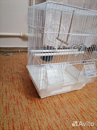 Клетка для попугая, в подарок корм
