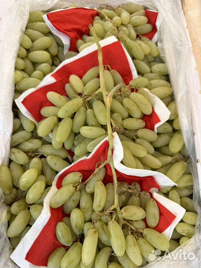 Перец болгарский красный