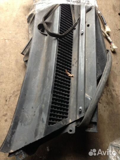 Жабо чери тигго